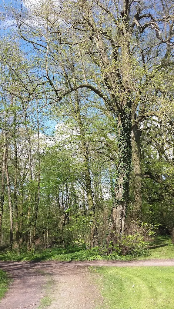 Cure de jus printanière ⏐ du 19 au 22 mars 2026 – Image 12