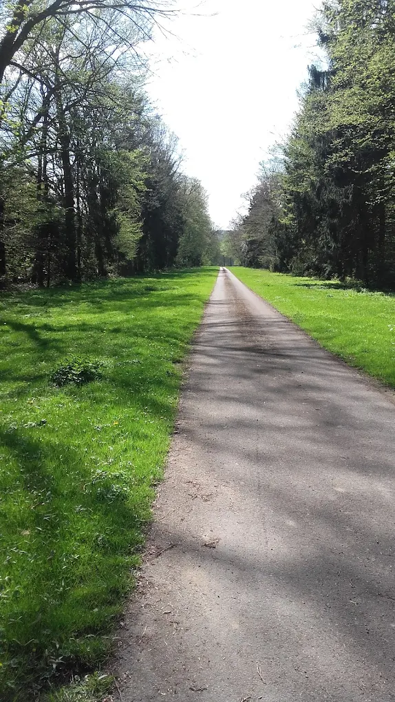 Cure de jus printanière ⏐ du 19 au 22 mars 2026 – Image 11